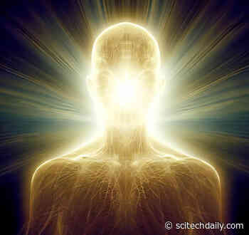 Intestinal Bacteria – The Secret to Living to 100?