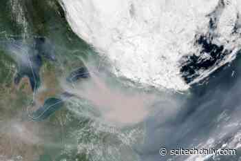 Northeast U.S. Chokes on Record-Breaking Wildfire Smoke From Quebec