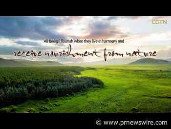 CGTN: Why China is committed to green development