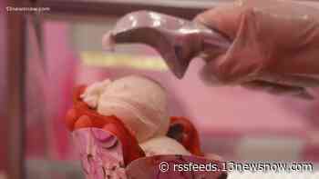 Virginia Beach dessert shop, The Sweet Spot, reopens after Instagram-worthy renovation