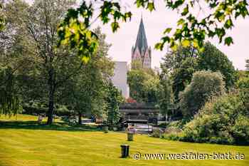 Paderauenpark: Brücke wird nicht gebaut