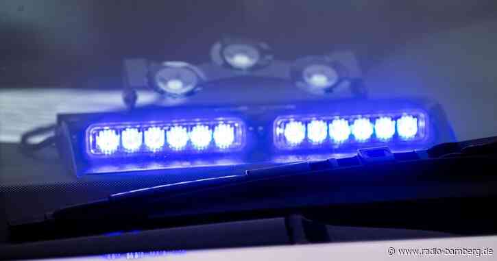 Hund beißt Siebenjährigen ins Gesicht