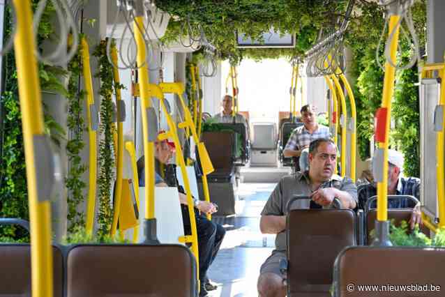 Reizigers wanen zich in jungle in ‘groene tram’ tussen Antwerpen-Zuid en Luchtbal: “Hier word je instant vrolijk van”