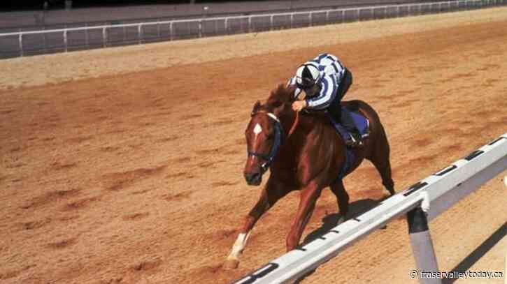 Book shines a light on successes, challenges experienced by Turcotte brothers