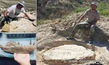 I'm a professional DINOSAUR hunter and I get paid to find rare fossils