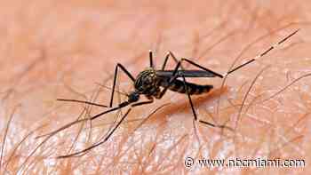 Scented soaps can attract or repel mosquitoes, research finds