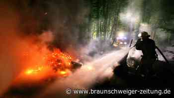 Waldbrandgefahr und trockene Böden - Was sind die Folgen?