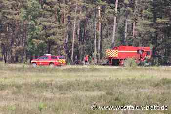 Feuer in der Senne: Auf 600 Quadratmetern brennen Gras und Gebüsch