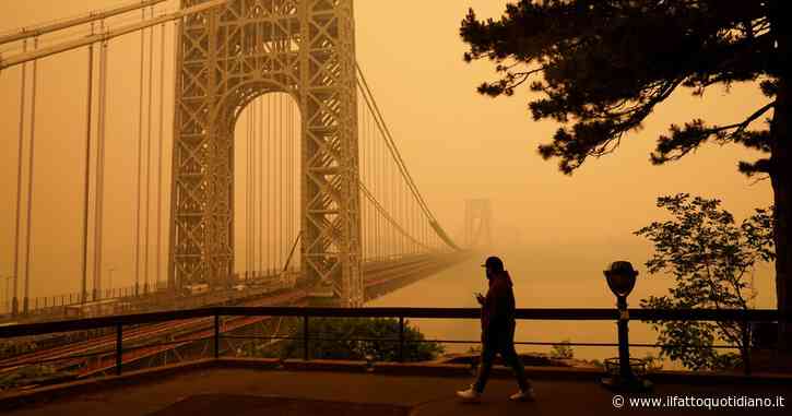 Il giorno in cui New York è diventata Nuova Delhi. Eppure, mi dico, siamo privilegiati