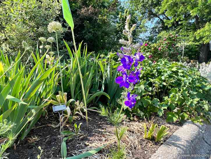 A Saturday stroll through the Fort