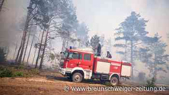 Waldbrand nahe Jüterbog: Lage weiterhin angespannt