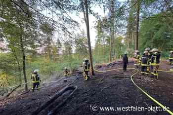 Waldbrand in Bielefeld
