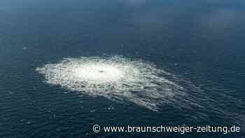 Polen bestreitet Verbindung zu Nord-Stream-Sabotage