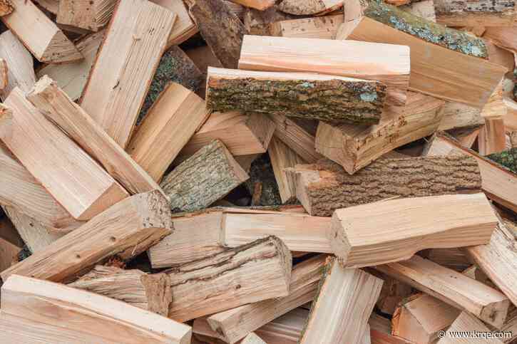 Don't bring firewood to campsites: Here's why