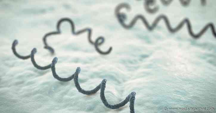 Shocker: Highly Contagious STD Rages Out of Control in Alabama