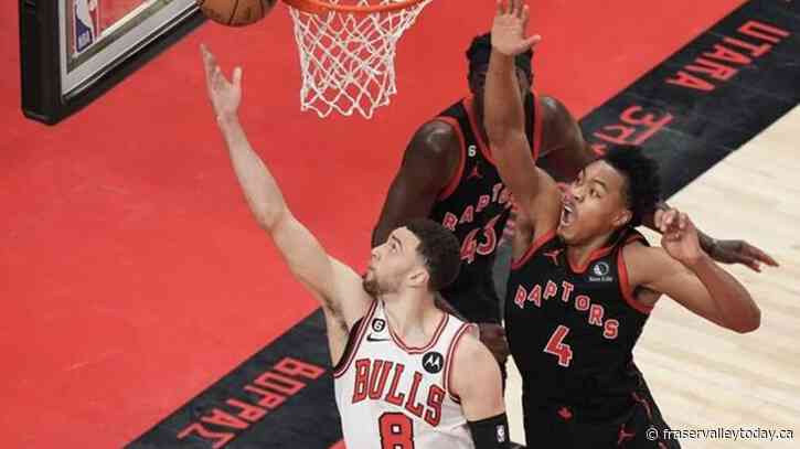 Reports: Toronto Raptors hiring Grizzlies assistant Darko Rajakovic as new head coach