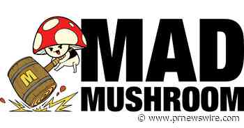 OTK Network Launches Indie Game and Publishing Company Mad Mushroom