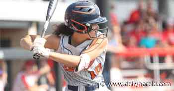 Softball: Barrington caps 35-win season taking 4th in state