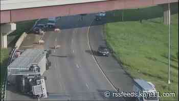 Pigs wander I-694 in east metro after semi rollover