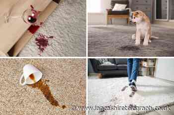 How to get tough stains out of carpet like red wine, coffee and more