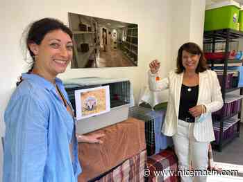 Quel est ce projet de centre de soins pour les oiseaux d’eau sur la Côte d'Azur?