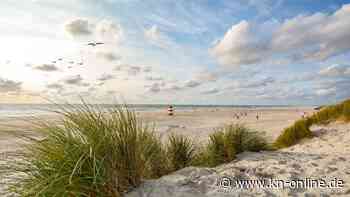 Rømø: So schön ist Dänemarks Insel in der Nordsee