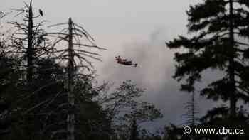 3 ways climate change is making wildfires worse in Atlantic Canada