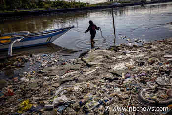 Yes, flesh-eating bacteria can hitch rides on seaweed and plastic (no, don't cancel your summer vacation)