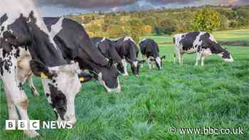 Cornwall Council's food motion welcomed by farmers