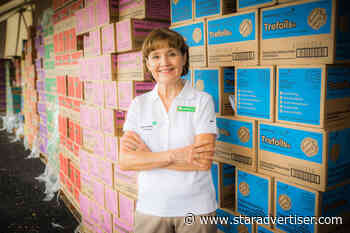 Girl Scouts of Hawaii CEO resigns