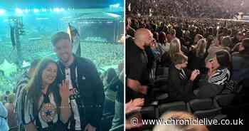 Special moment as Newcastle United fans get engaged at Sam Fender's St James' Park gig