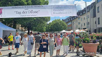 "Tag der Rose" in Ulm lockt viele Blumenfreunde