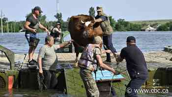 Ecological consequences of dam collapse in southern Ukraine will be generational, experts say