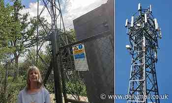 Whole village had no phone signal for a YEAR due to faulty O2 mast 