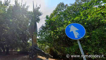 Rubate le corone di fiori appena deposte al monumento per Matteotti