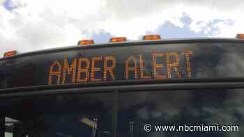 AMBER alerts aren't the only type of emergency alert in Florida. Here's a breakdown