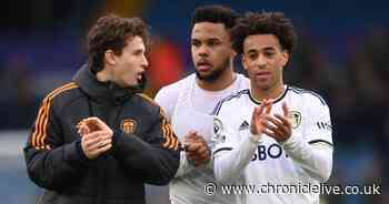 Intriguing transfer target would fit perfectly with Newcastle United's high-pressing midfield