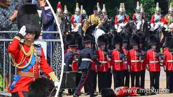 Wolluniform und Fellmütze bei 30 Grad! Gardisten kippen reihenweise um – William lobt: „Guten Job gemacht“