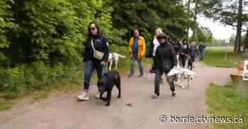 Fundraiser looks to bring service dogs to the classrooms