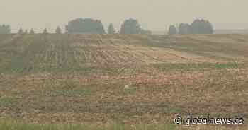Extremely dry spring leaves southern Albertan farmers on the road to ‘zero production’