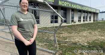 Branded van, tech, cash stolen from Edmonton animal shelter