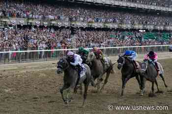 Another Horse Dies at Belmont Park, 2nd Fatality in 24 Hours After Belmont Stakes