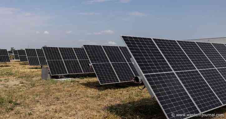 Solar Farms Come to Shocking Realization, Wildfire Smoke Appears During Peak Hours