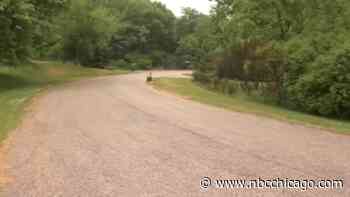 ‘It's pretty wild:' Black bear on the loose in suburban Lake County