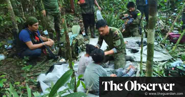 ‘Miracle, miracle’: lone children survive 40 days in Amazon jungle