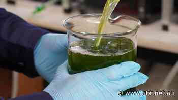 After you flush the toilet, it takes up to 60 days to break down the waste. A trial in regional Qld could change that