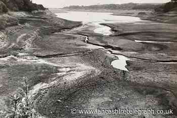 Record five-month drought saw Wayoh reservoir drying up