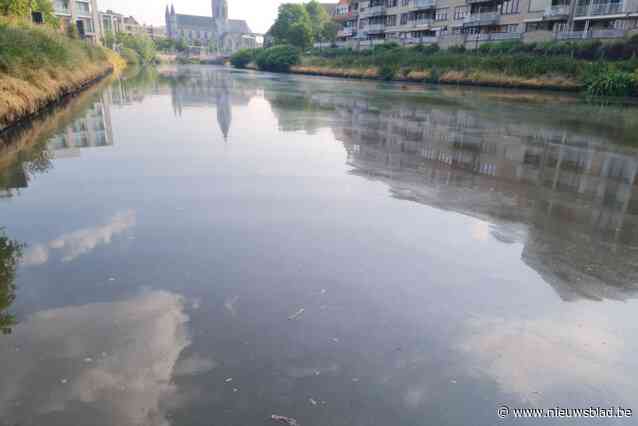 Laag olie drijft op de Leie: “Een fijne film die erger werd doorheen de dag”