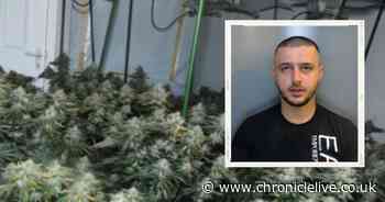 Albanian man entered UK illegally to set up cannabis farm in County Durham home