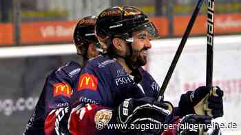 Devils Ulm/Neu-Ulm füllen die Lücken im Kader